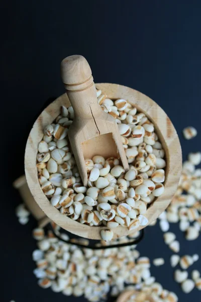 Organik darı pirinç tohumu — Stok fotoğraf