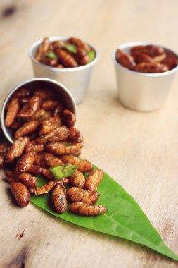 Çok kızarmış böcekler