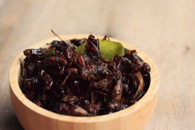 Çok kızarmış böcekler