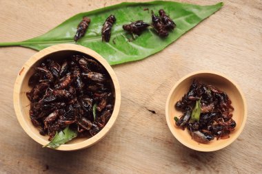 Çok kızarmış böcekler