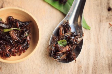 Çok kızarmış böcekler