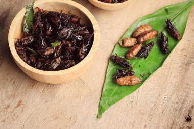 Çok kızarmış böcekler