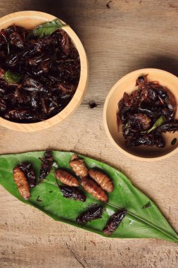 Çok kızarmış böcekler