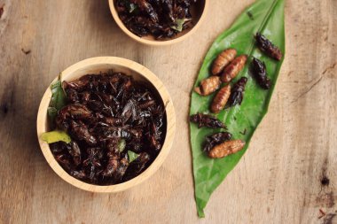 Çok kızarmış böcekler