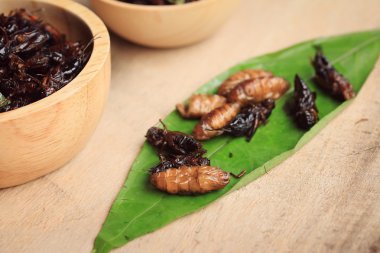 Çok kızarmış böcekler