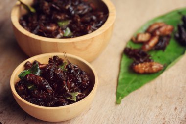 Çok kızarmış böcekler