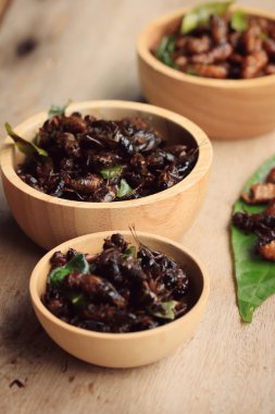 Çok kızarmış böcekler