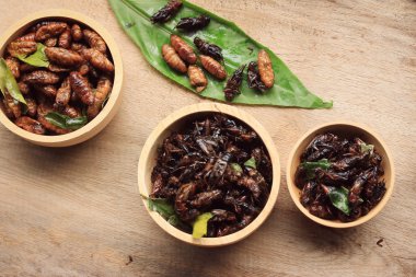 Çok kızarmış böcekler