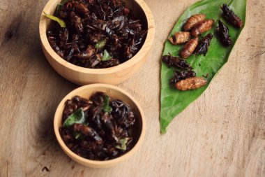 Çok kızarmış böcekler