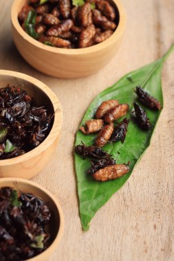 Çok kızarmış böcekler