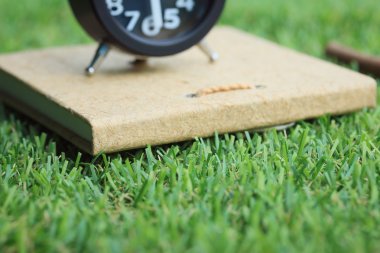 zaman saati ile kitap