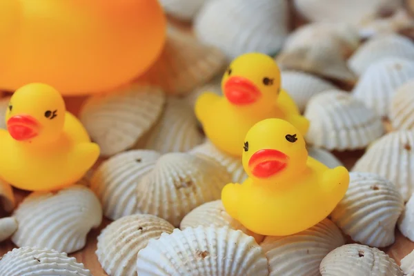 Sarı lastik ördek — Stok fotoğraf
