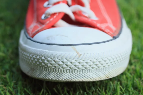 Röda sneakers på gräsmattan — Stockfoto