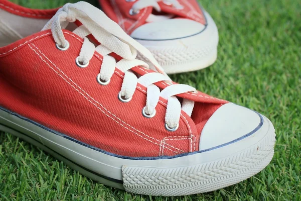 Røde sko på plenen – stockfoto