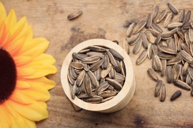 Çiçek ayçiçeği tohumu