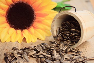 Çiçek ayçiçeği tohumu