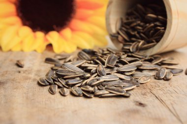 Çiçek ayçiçeği tohumu