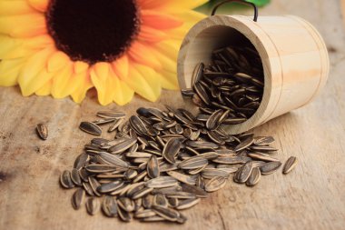 Çiçek ayçiçeği tohumu