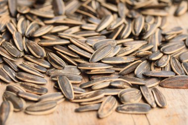 Çiçek ayçiçeği tohumu