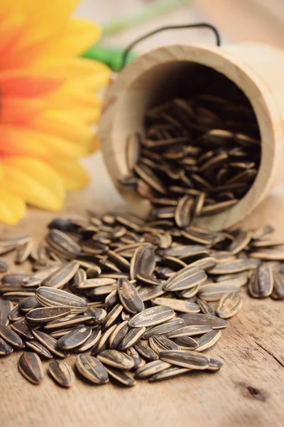 Sunflower seed with flower