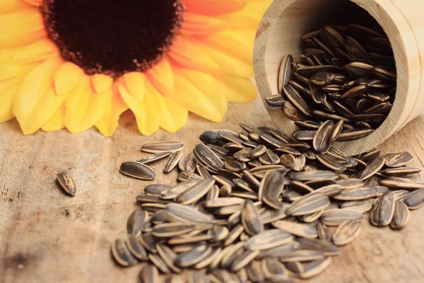 Çiçek ayçiçeği tohumu