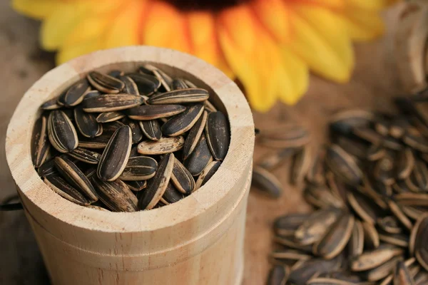 Sunflower seed with flower