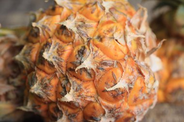 taze ananas tatlı meyve