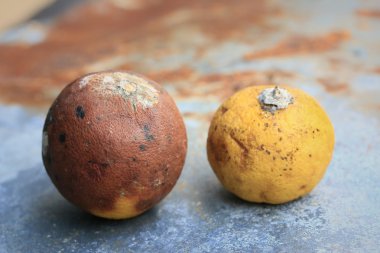 Limon çinko üzerinde çürük