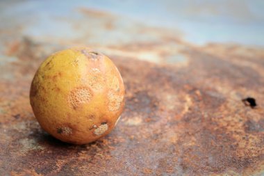 Limon çinko üzerinde çürük