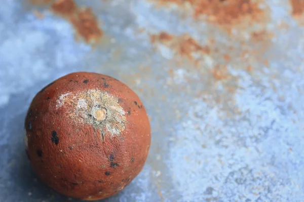 Lemons rotten on zinc — Stock Photo, Image