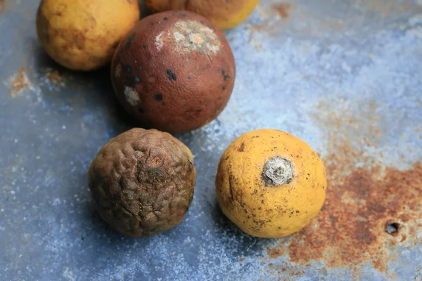 Limões apodrecidos em zinco — Fotografia de Stock