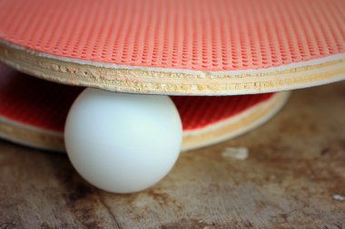 Masa Tenisi veya Masa Tenisi