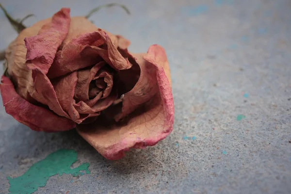 Dried and artificial roses