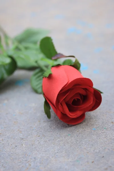 Dried and artificial roses — Stock Photo, Image