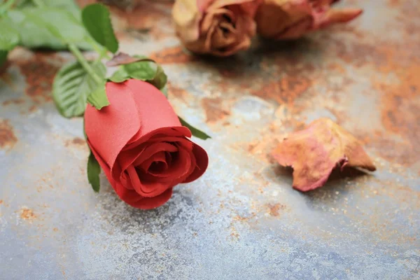 Getrocknete und künstliche Rosen — Stockfoto