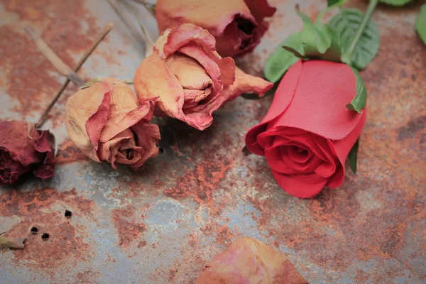 Getrocknete und künstliche Rosen Stockbild