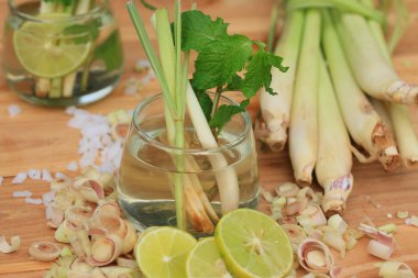 Herb içki limon otu