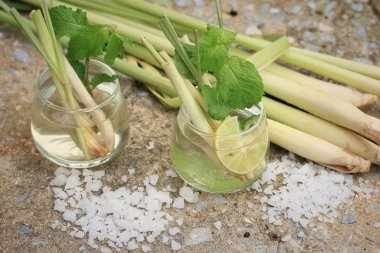 Herb içki limon otu