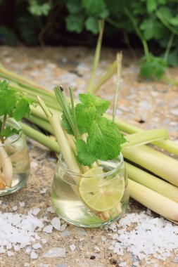 Herb içki limon otu