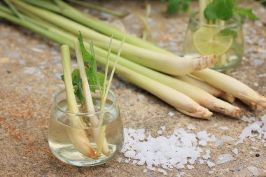 Herb içki limon otu