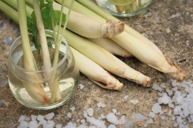 Herb içki limon otu