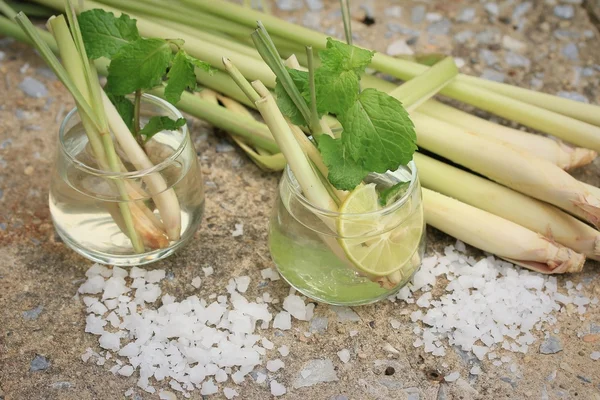 Herb içki limon otu