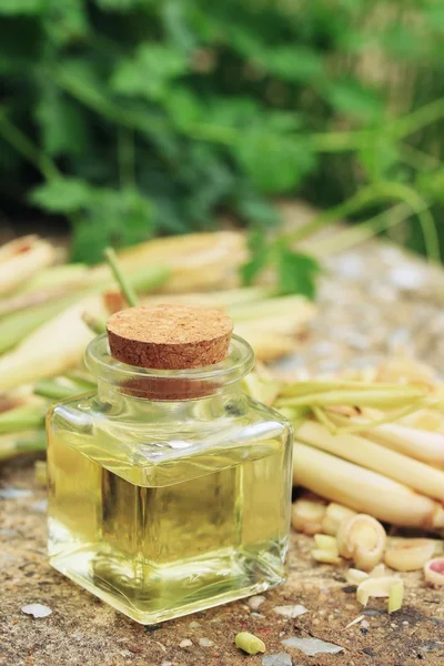 Olio essenziale citronella — Foto Stock