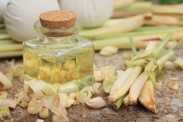 Olio essenziale citronella — Foto Stock