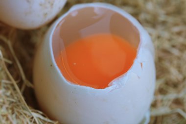 Saman üzerinde ördek yumurta