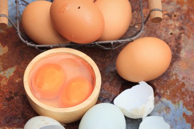 Taze yumurta ve ördek yumurta