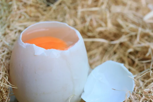 Duck eggs on straw