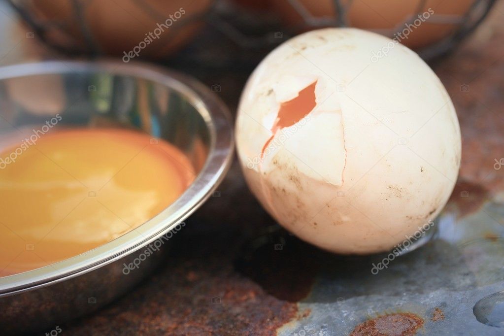 Fresh egg and duck eggs — Stock Photo © oilslo #113224572