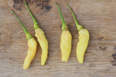 Ahşap üzerinde taze biber