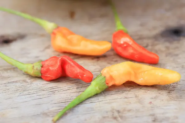 Peperoncino fresco su legno — Foto Stock